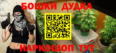 крисы Бузулук
